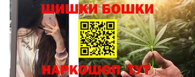 спиды Кингисепп