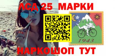 спиды Кингисепп