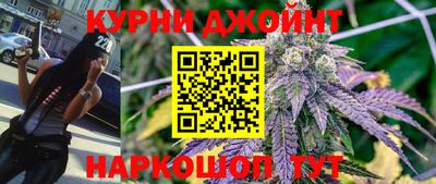 спиды Кингисепп
