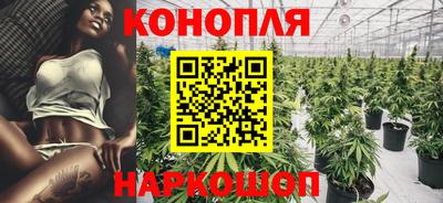 спиды Кингисепп