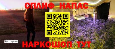 мяу мяу мука Кинель