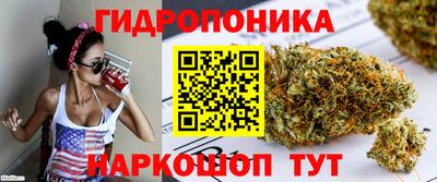 ешки Кимры