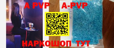 спиды Кингисепп