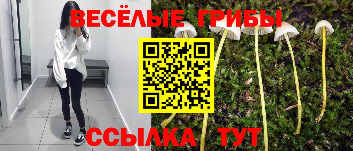 Псилоцибиновые грибы Magic Shrooms Выборг